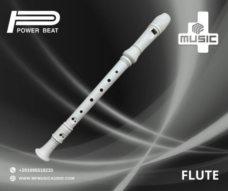 Power Beat Flute Recorder